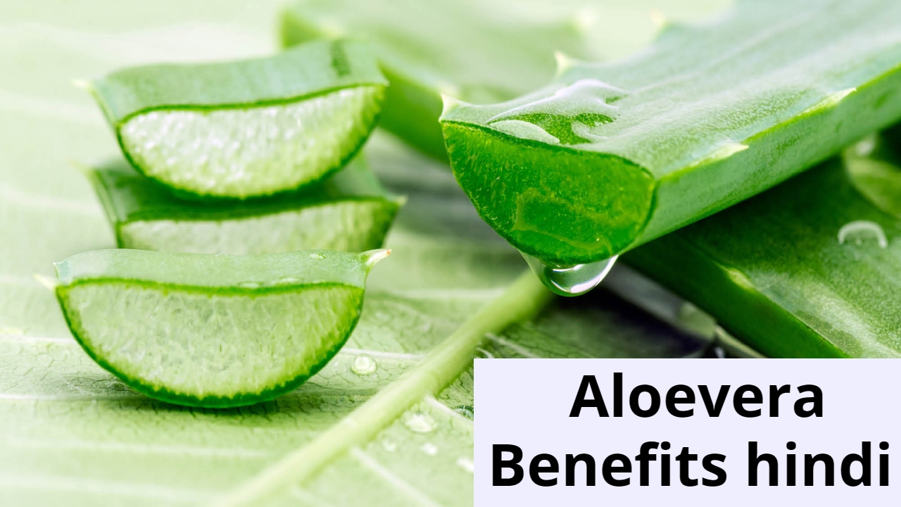 Aloevera benefits : एलोवेरा से मिलेगी हर परेशानी से छुट्टी, घर को बनाएगा पॉजिटिव